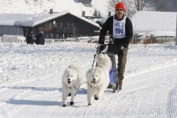 Lenk 2012 SM